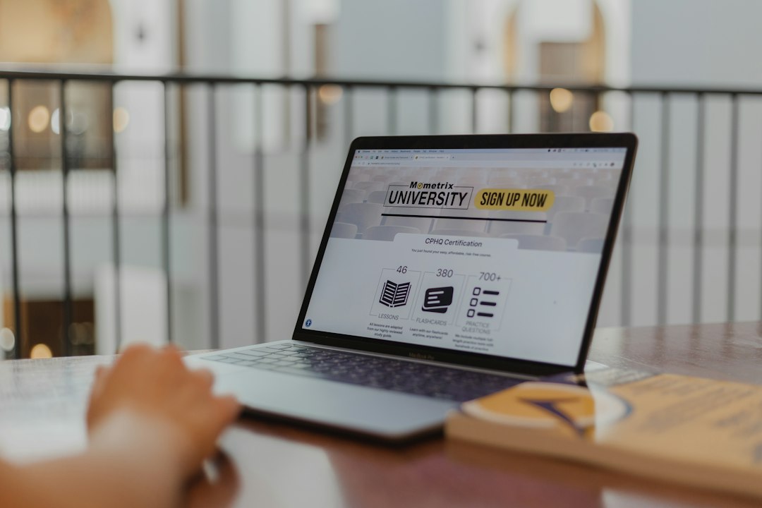 Student care lucrează la laptop